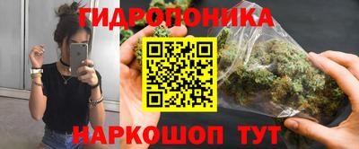 индика Нягань